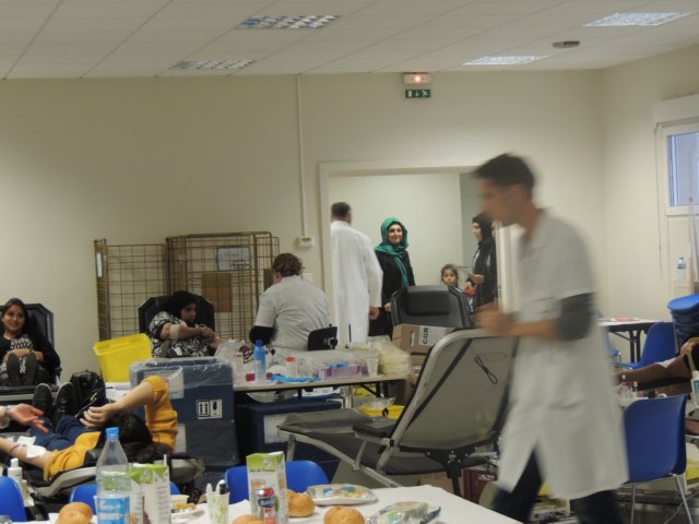 dscn2031.jpg