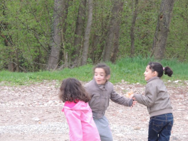 dscn1223.jpg