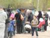 dscn1233_small.jpg