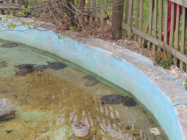 dscn1326.jpg