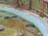 dscn1326_small.jpg