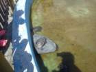 dsc00187_small.jpg