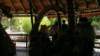 photo15_small.jpg