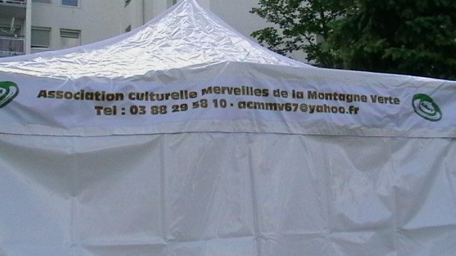 photo24.jpg
